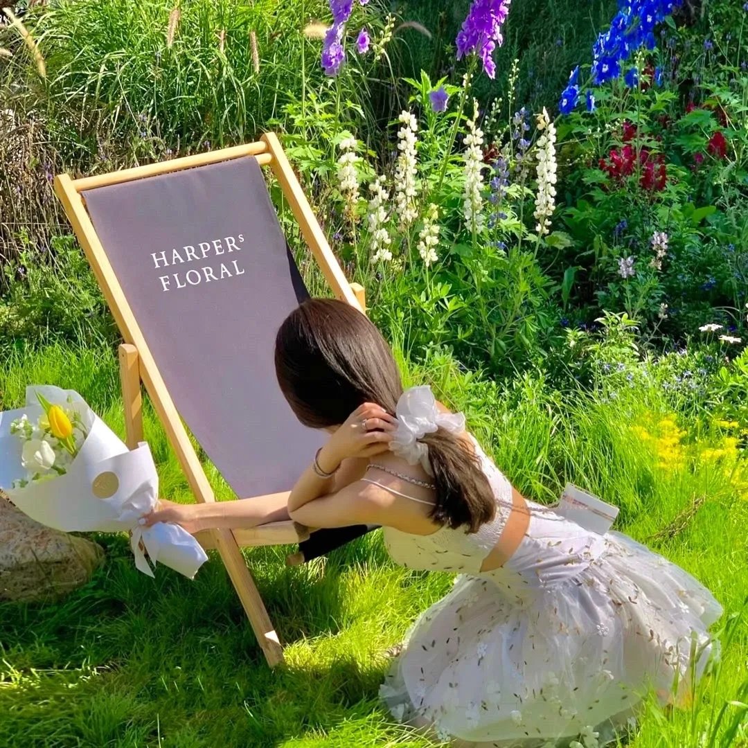 终极指令